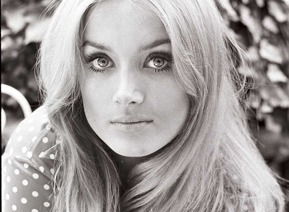 Barbara Bouchet. Ritratto di Angelo Frontoni. Archivio Fotografico CSC-Cineteca Nazionale - Museo Nazionale del Cinema di Torino