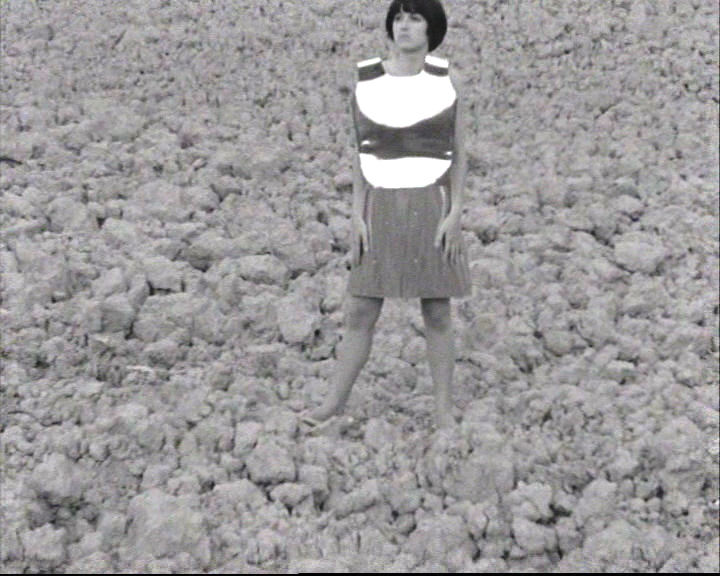 Terra animata di Luca Patella (1967)