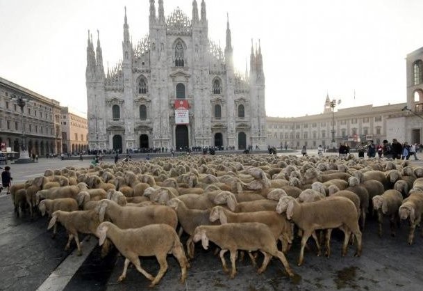 "L'ultimo pastore" di Marco Bonfanti (2012)