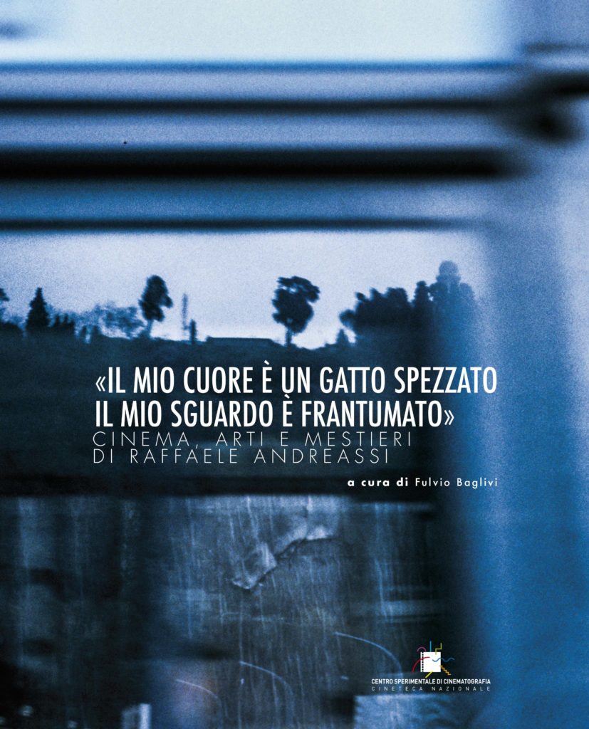 La copertina di "«Il mio cuore è un gatto spezzato. Il mio sguardo è frantumato». Cinema, arti e mestieri" di Raffaele Andreassi, a cura di Fulvio Baglivi, CSC - Cineteca Nazionale, 2015