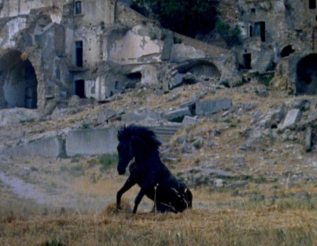 "Montedoro" di Antonella Faretta (2015)